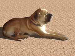 hoovsun.sized