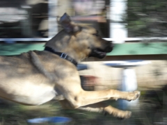 dscn0964sm